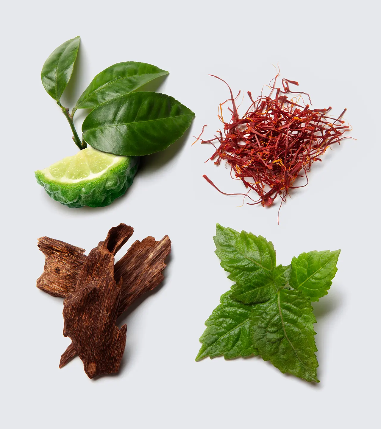 intense ingredients split