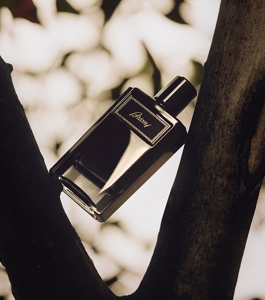 Elegant Intense black bottle resting between dark tree branches against a soft blurred background.