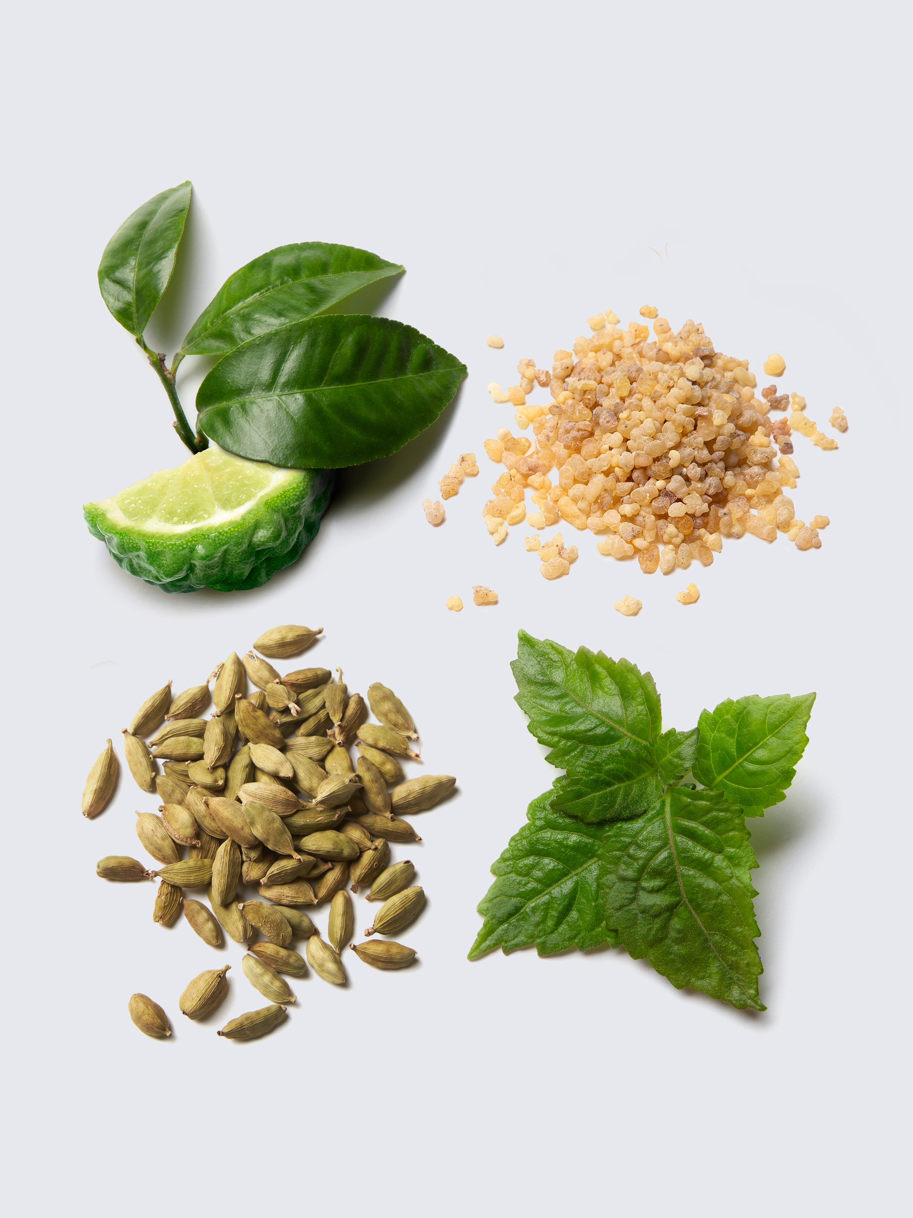 Eau de Parfum Essentiel 100ml